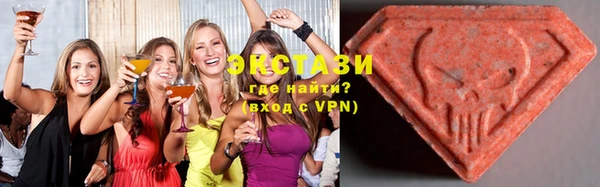 ECSTASY Богданович