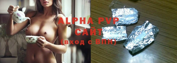 ECSTASY Богданович