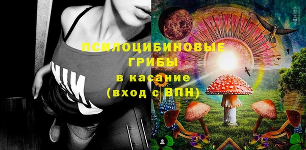 таблы Белокуриха