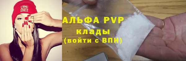 ECSTASY Богданович