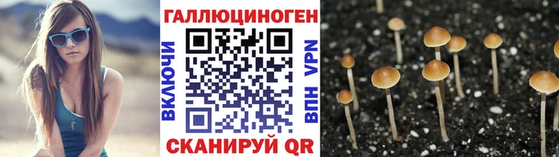 Галлюциногенные грибы прущие грибы  Болотное 